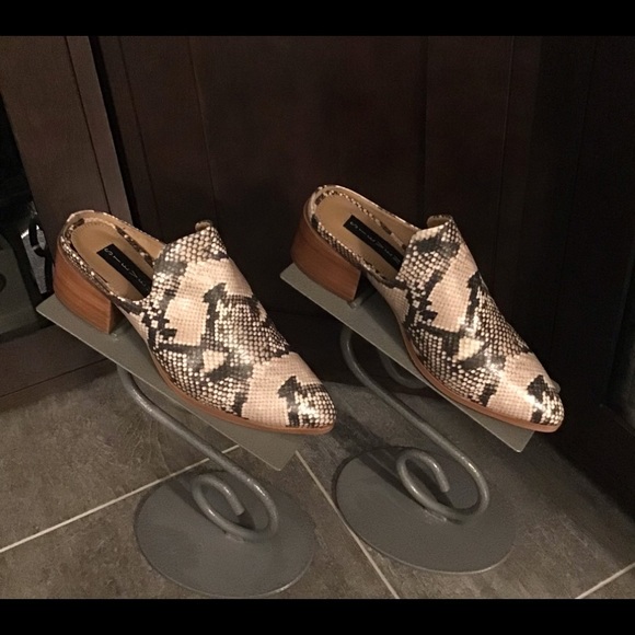 Steve Madden Shoes - Steve Madden Deney snake print block heel mules. NWTS